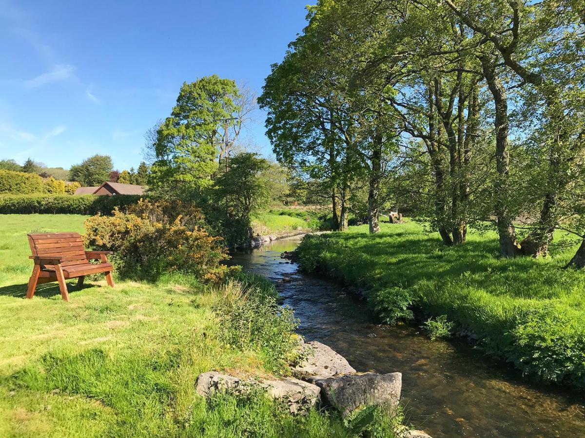 Maesyfelin Isaf Glamping Hay Loft Hotel Llanybyther Exterior foto