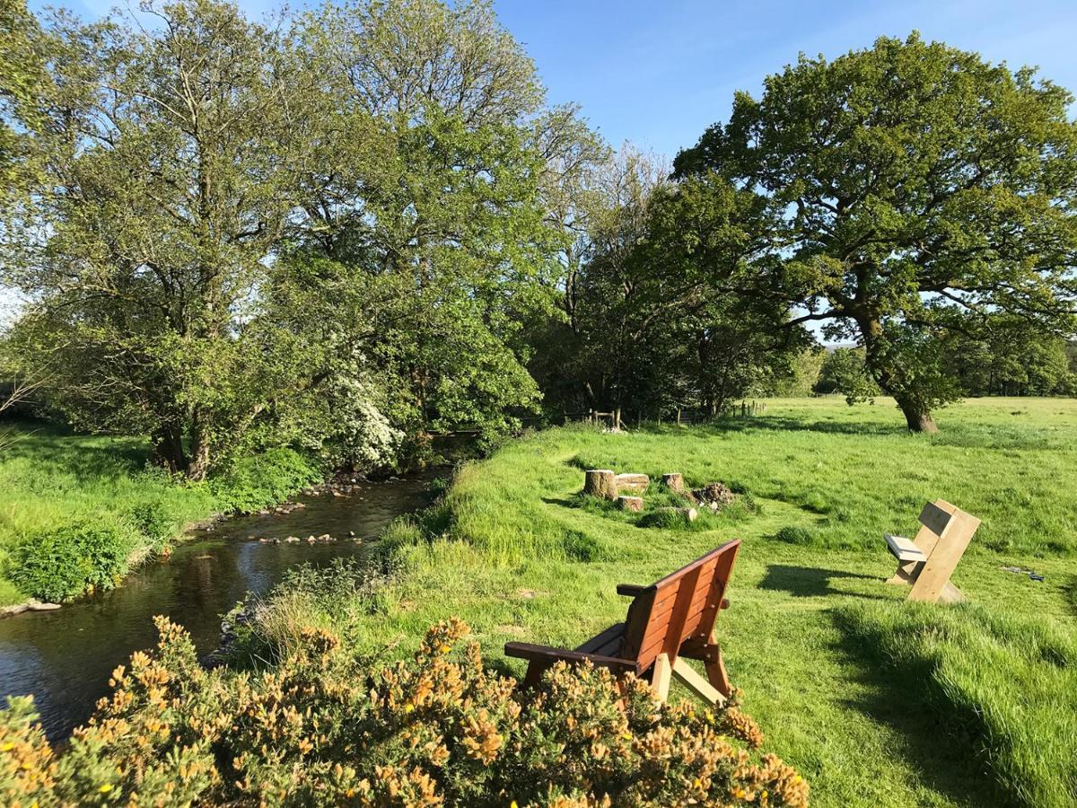 Maesyfelin Isaf Glamping Hay Loft Hotel Llanybyther Exterior foto